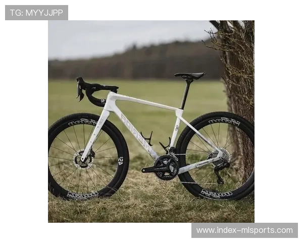 自行车器材规则演进：UCI标准下的技术革新与公平竞技